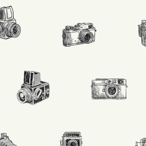 Mini Vintage-cameras