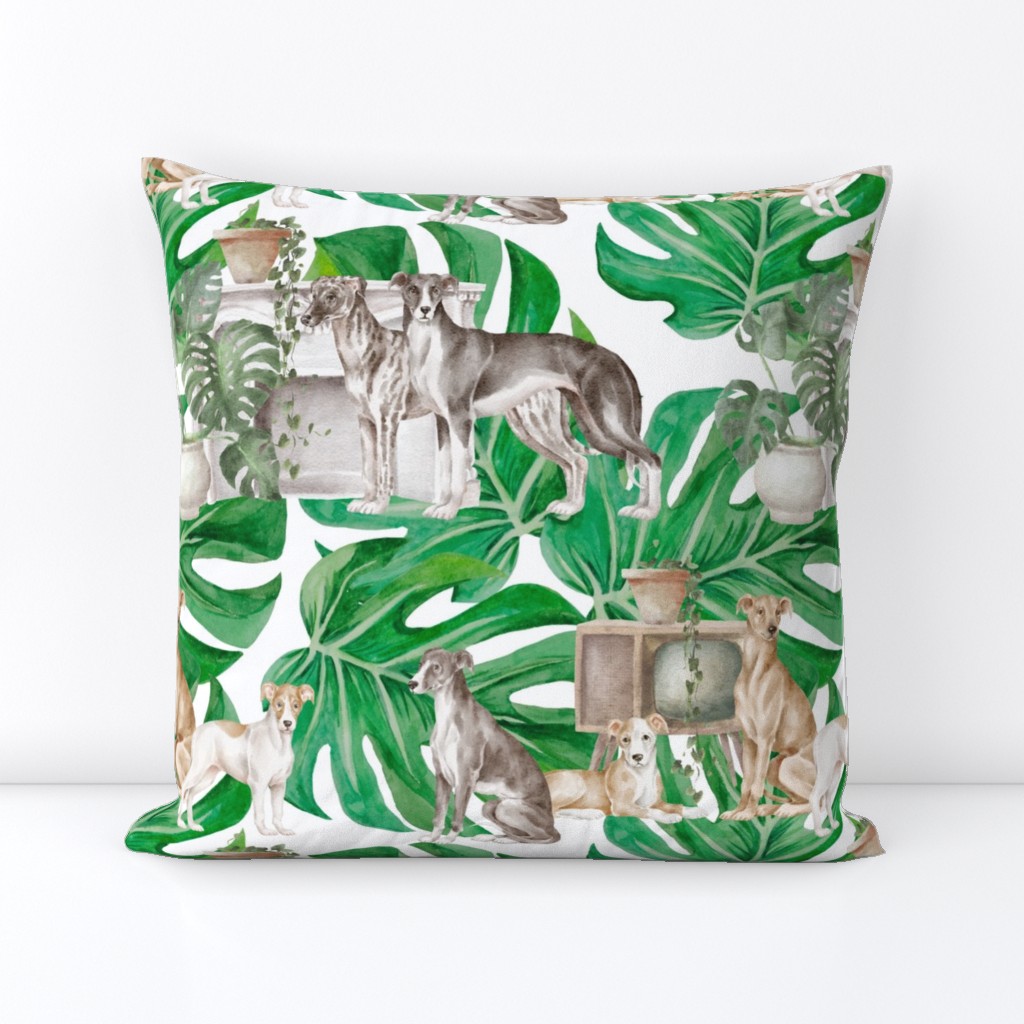 Banana leaves and greyhounds or tropical retro whippets 