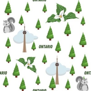 Province of Ontario  (city of Toronto)