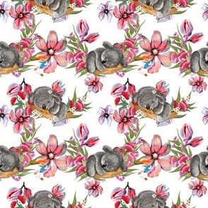 Koala naps in painted cherry blossoms or koalas  and orchids