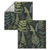 Ferns Botanical Nature Fern Green Leaves Calming Forest 