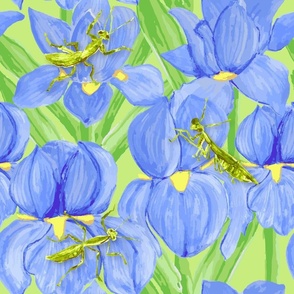 Watercolor Iris Praying Mantis, 18 inch