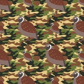Camo partridge or camouflage partridges 