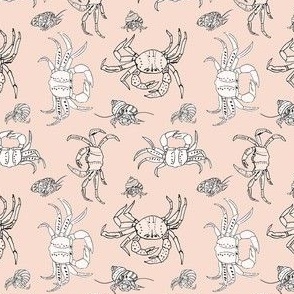 Seaside Crab Walk - pink small