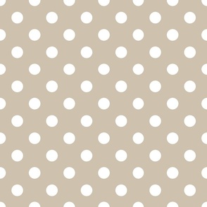 Medium scale Polka Dots with Stone Background 