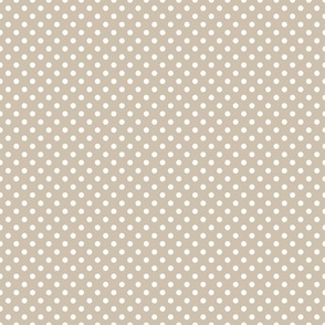 Tiny Polka Dots with stone background 