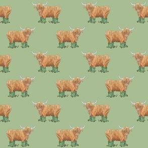 Highland Cow with Wellies (alternating) on a Sage Green Background - Medium Scale