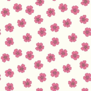 Tiny Pink Flowers on White Background