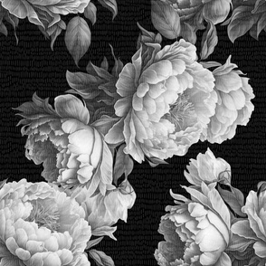 Black and white large peonies. Dark vintage floral classic. Boho flowers.