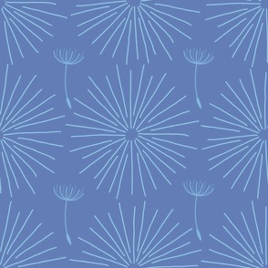 Maximal Blue dandelion lines dandelions seeds