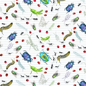 Little bug journal! Beetles, and ladybugs, and flies, oh my!