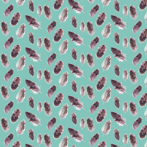 Feathers dotty on light teal