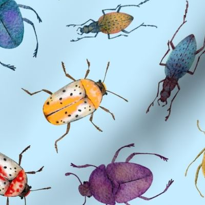 Colorful bugs on blue