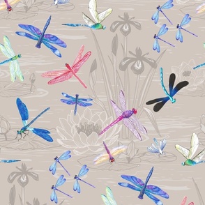 dance of the dragonflies