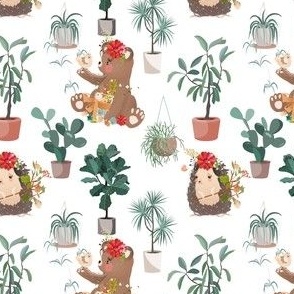 Bears and hedgehogs plants wallpapers or hedgehog bear houseplant