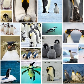 Cute Penguin Photo Collage Pattern