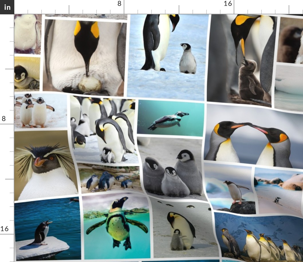 Cute Penguin Photo Collage Pattern