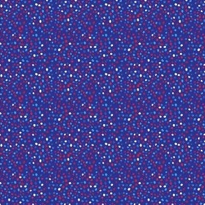 red white blue dots on blue 2x2