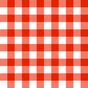 Red Gingham Check (small scale) 