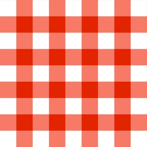 Red Gingham Check 