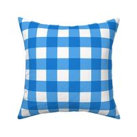 Blue Gingham Check (small scale) 