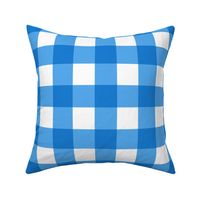 Blue Gingham Check 