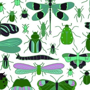 Doodle bugs green and purple