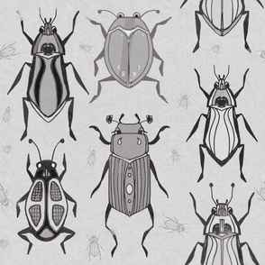 Beetles in shades of grey