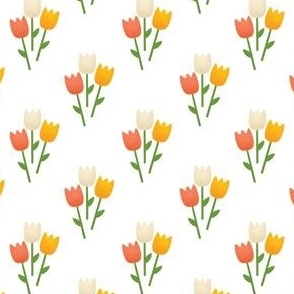 Tulips - Red, White and Yellow