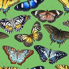 Butterflies - Green
