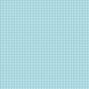 gingham check-aqua