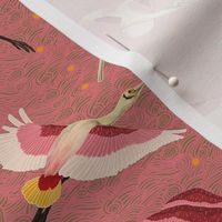 roseate spoonbill pink background tiny 4 inch birds