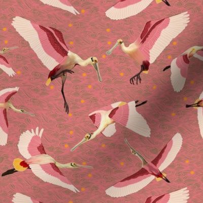 roseate spoonbill pink background tiny 4 inch birds
