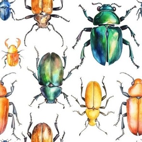 Bugs and beetles in vintage rainbow watercolor