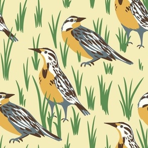 Western Meadowlark Birds in Grass on Light Yellow