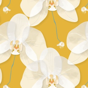 Large Orchid flowers on yellow