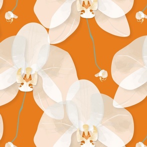 Large Orchid flowers on orange