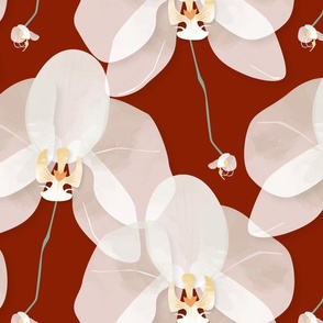 Large Orchid flowers on maroon