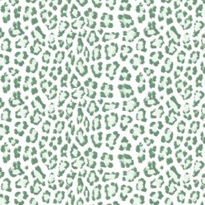 Sage green leopard cat 