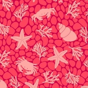 Rockpool Fun - MEDIUM - Bright Crustacean Red