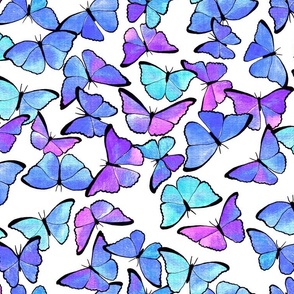 Amazon Morpho Butterflies  - Medium Scale