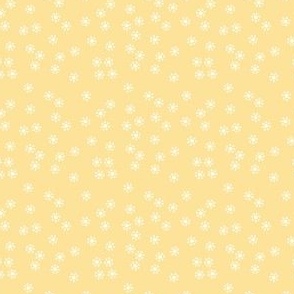 DaySpring yellow