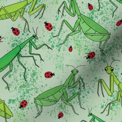 Mantis and Ladybug Doodle Bugs