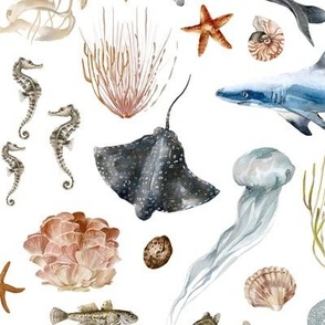 Large / Ocean Fauna