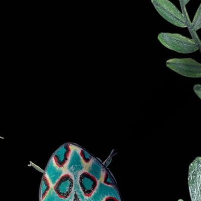Painterly Picasso Bugs and Picasso Moths