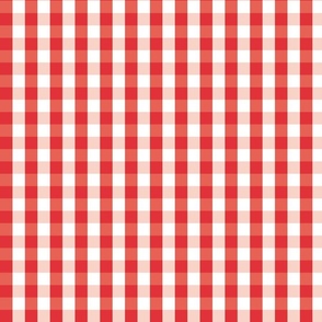 Southern Red Gingham