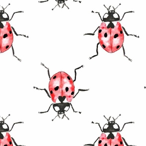 Seven-spot ladybird. Watercolor Bug. Watercolor ladybird.  Zoological drawing of coccinella. Animal drawing. Big scale. Vertical.