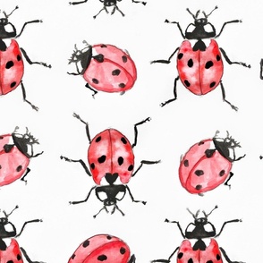 Seven-spot ladybird. Watercolor Bug. Watercolor ladybird.  Zoological drawing of coccinella. Animal drawing. Big scale. Vertical. Lot of ladybug.