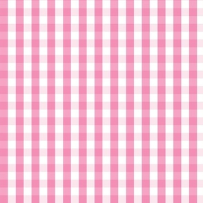 Southern Pink Gingham