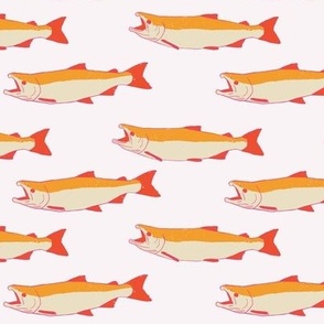Salmon Pattern with light pink background